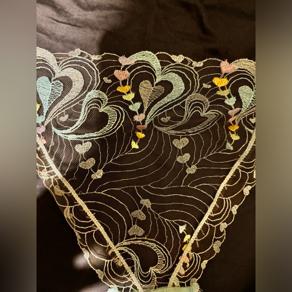 New no tag. Honey Birdette Candy Aquamarine Brief Panty Size XXL - Picture 3 of 8